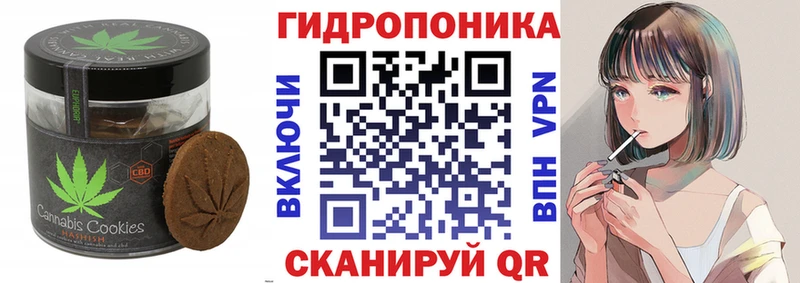 Canna-Cookies марихуана  Рассказово 