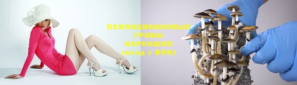 дживик Сосновка