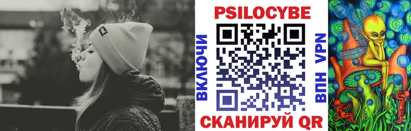 что такое   Рассказово  Псилоцибиновые грибы GOLDEN TEACHER 
